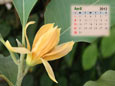 Calendar 2012 - April