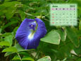 Calendar 2012 - June
