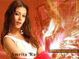New Hindi Stars  Amrita Rao