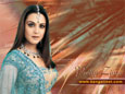 New Hindi Stars  Priety Zinta