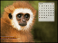Calendar Wallpaper 2011- August