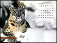 Calendar Wallpaper 2011 - December