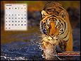 Calendar Wallpaper 2011- January