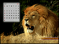 Calendar Wallpaper 2011 - July