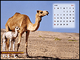 Calendar Wallpaper 2011 - June