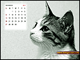 Calendar Wallpaper 2011- November
