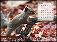 Calendar Wallpaper 2011 - October