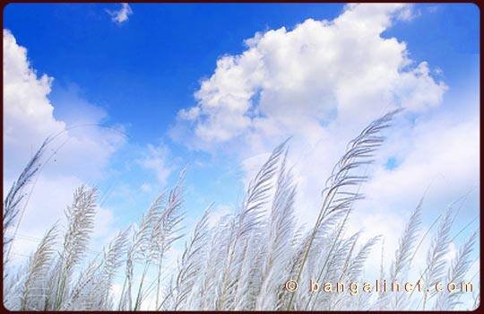 Slideshow Image 1