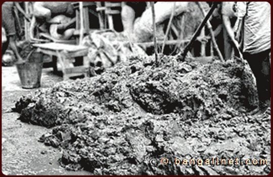 Slideshow Image 4