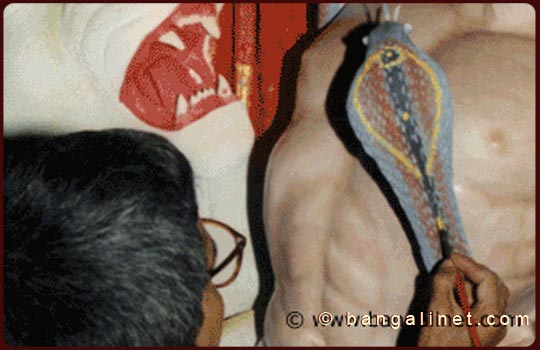 Slideshow Image 2