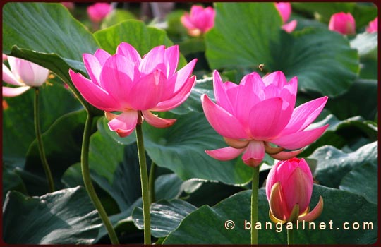 Slideshow Image 3