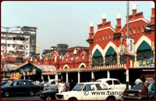 Slideshow Image 2
