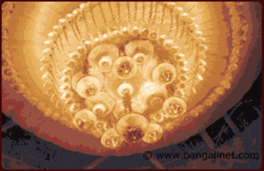 Slideshow Image 5