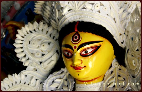 Slideshow Image 5