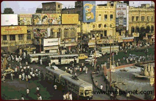 Slideshow Image 4